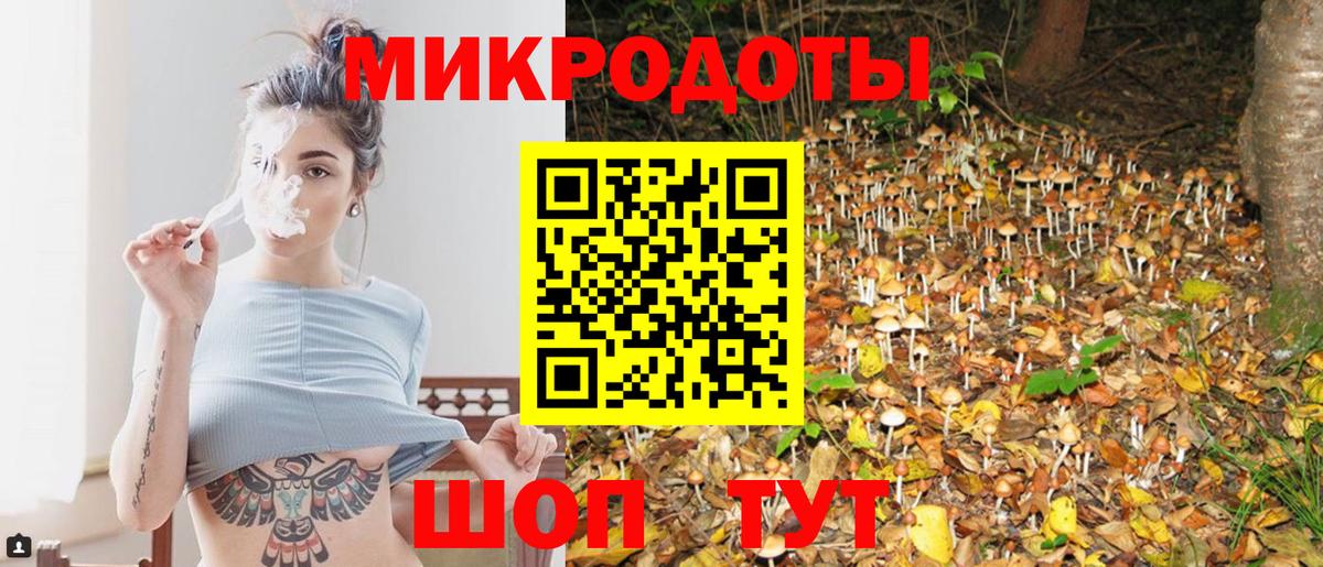 Галлюциногенные грибы Psilocybine cubensis  Вход с VPN  Саранск 